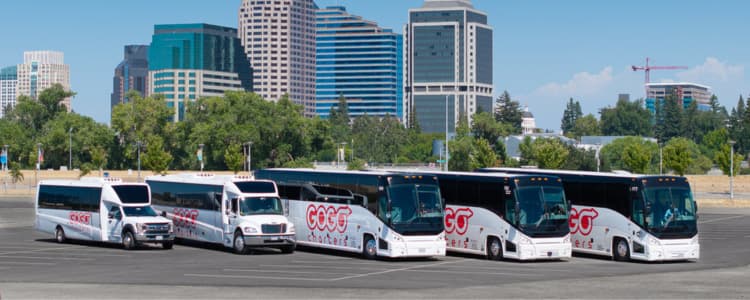 Gogo Charters Lexington